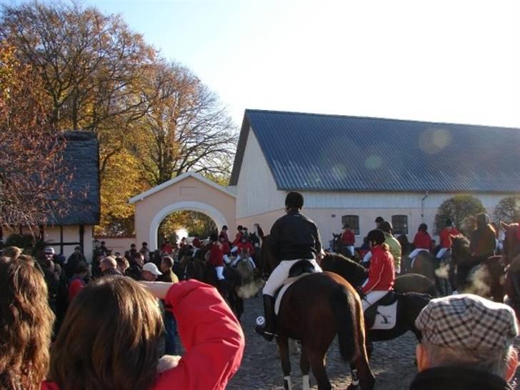 Jagt, skaarupgård sindal 2008 billede 5