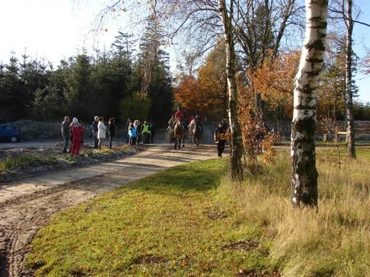 Jagt, skaarupgård sindal 2008 billede 8