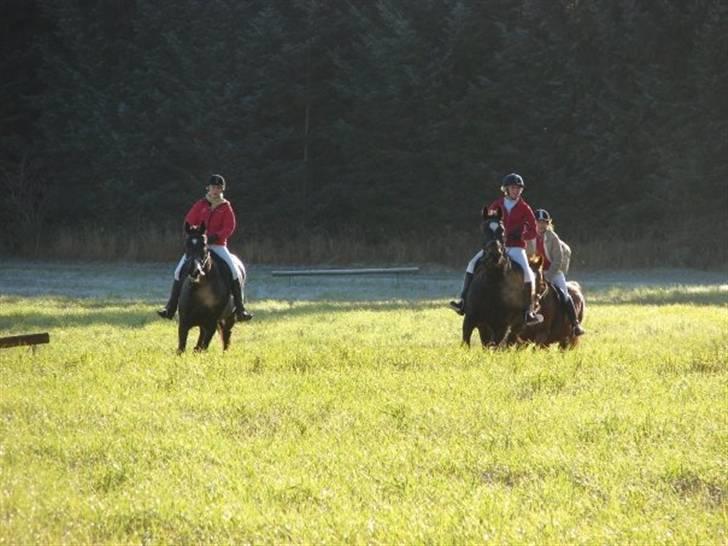 Jagt, skaarupgård sindal 2008 billede 15