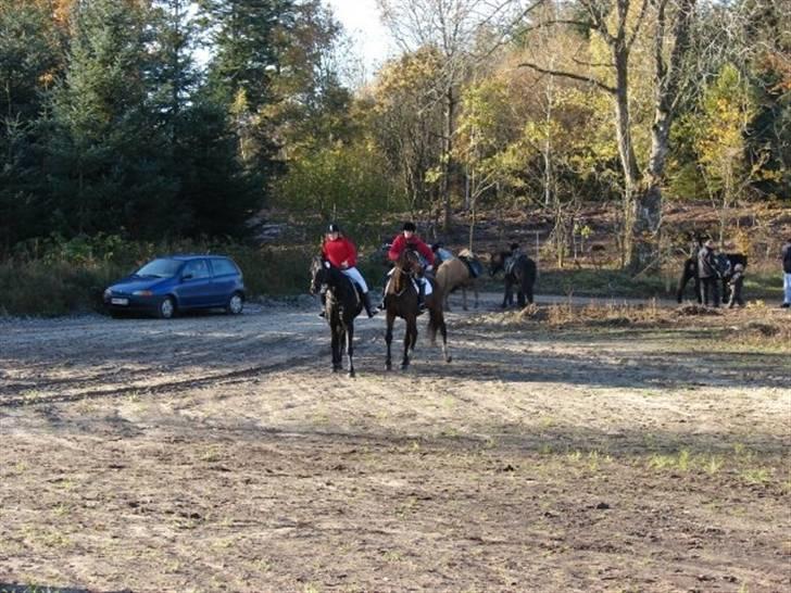 Jagt, skaarupgård sindal 2008 billede 18