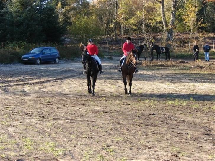 Jagt, skaarupgård sindal 2008 billede 19