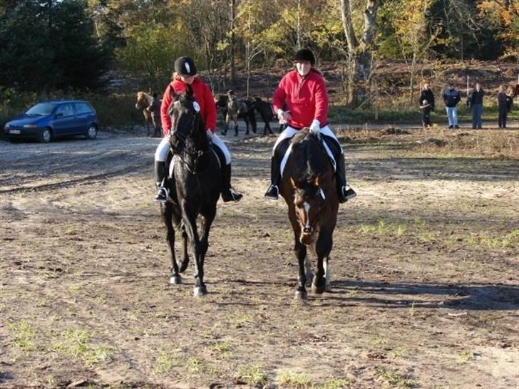 Jagt, skaarupgård sindal 2008 billede 20