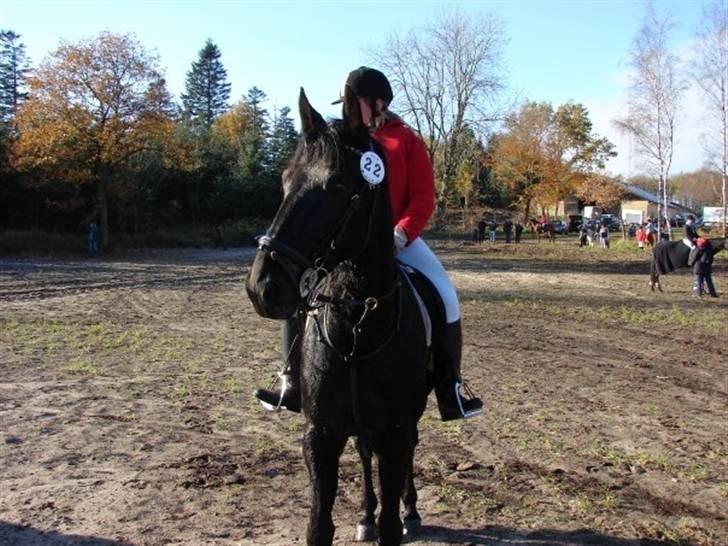 Jagt, skaarupgård sindal 2008 billede 21