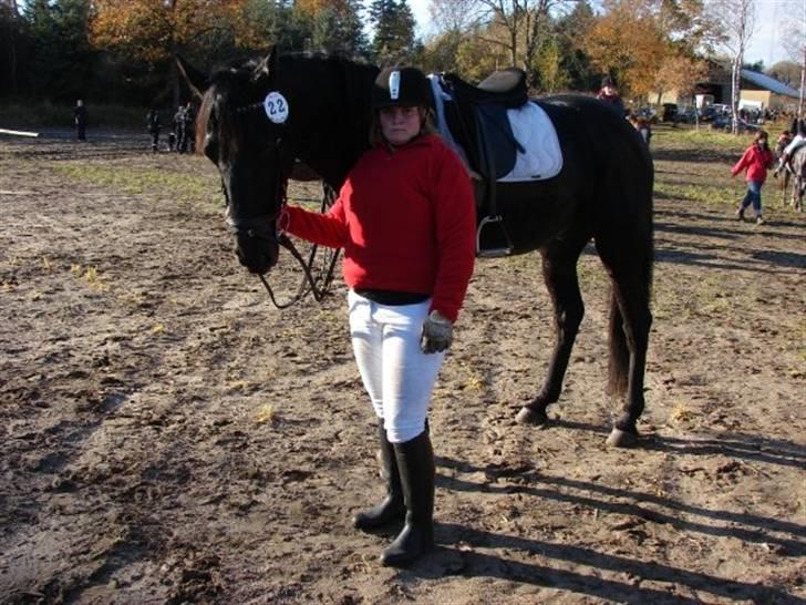 Jagt, skaarupgård sindal 2008 billede 24