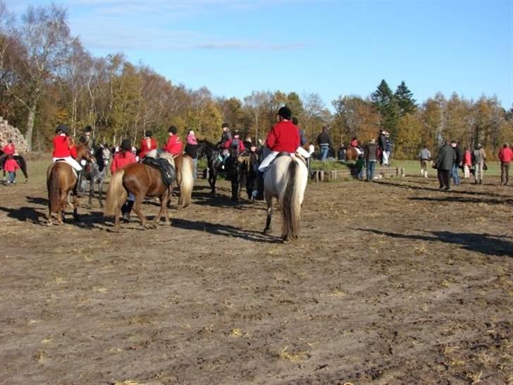 Jagt, skaarupgård sindal 2008 billede 26