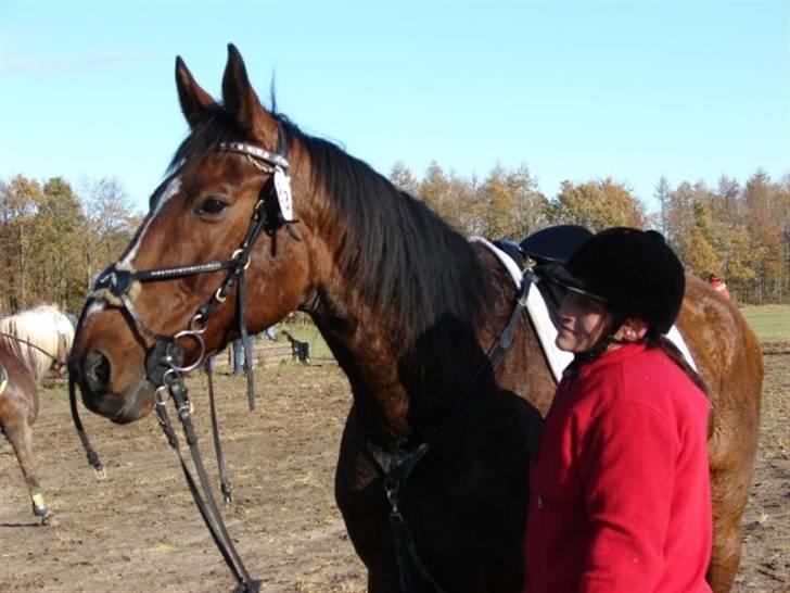 Jagt, skaarupgård sindal 2008 billede 33