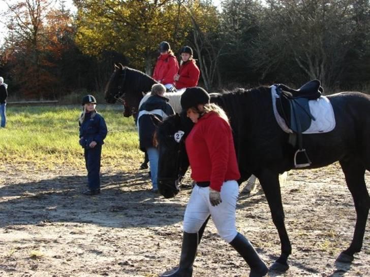 Jagt, skaarupgård sindal 2008 billede 34