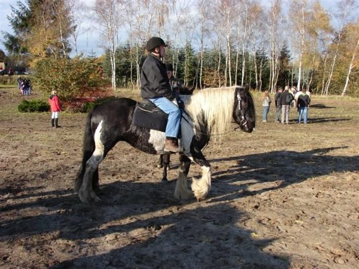 Jagt, skaarupgård sindal 2008 billede 36