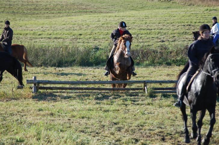 Hubertusjagt på rugård slot 2/11-2008 billede 13