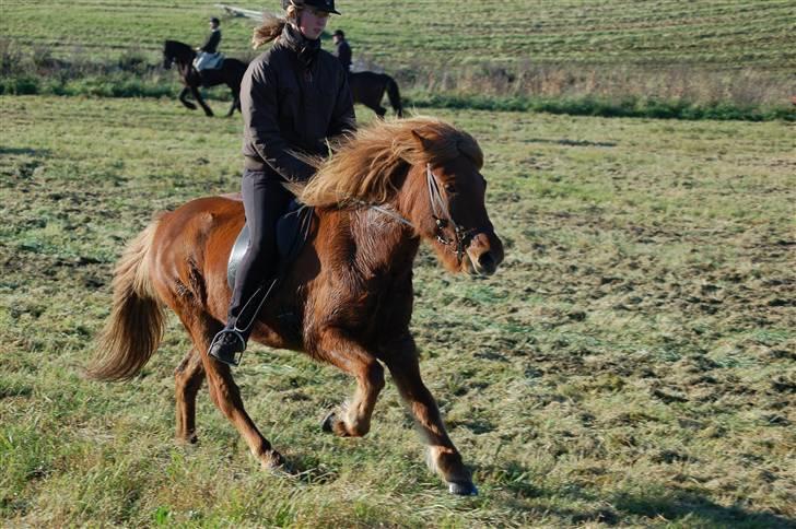 Hubertusjagt på rugård slot 2/11-2008 billede 14