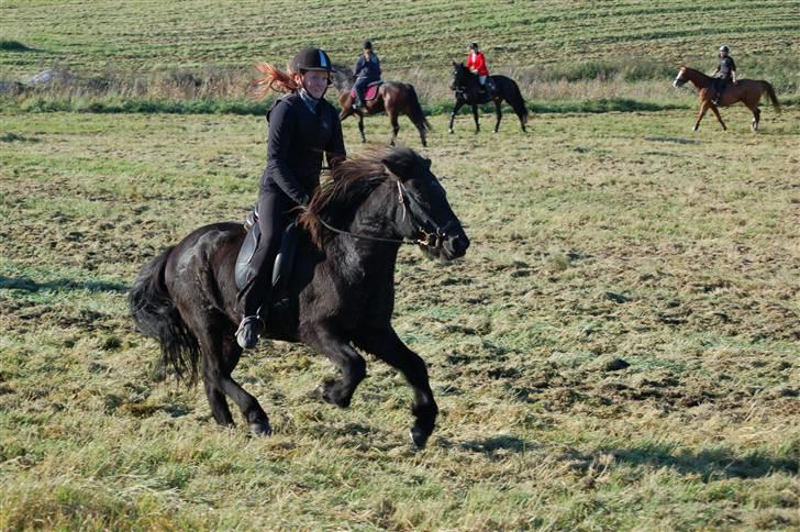 Hubertusjagt på rugård slot 2/11-2008 billede 15