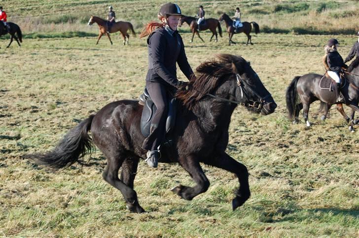 Hubertusjagt på rugård slot 2/11-2008 billede 16