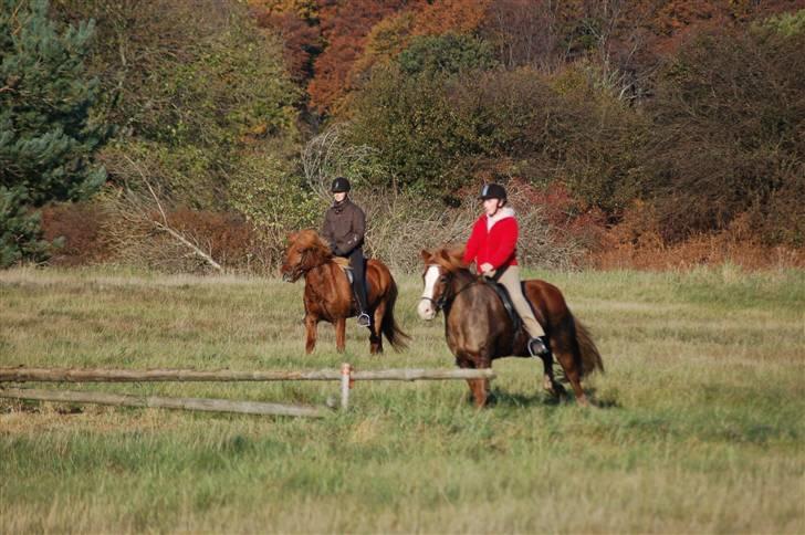 Hubertusjagt på rugård slot 2/11-2008 billede 21