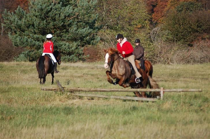 Hubertusjagt på rugård slot 2/11-2008 billede 22