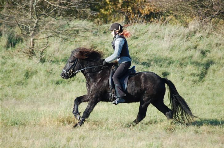 Hubertusjagt på rugård slot 2/11-2008 billede 24