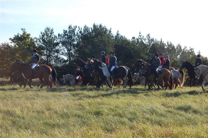 Hubertusjagt på rugård slot 2/11-2008 billede 25