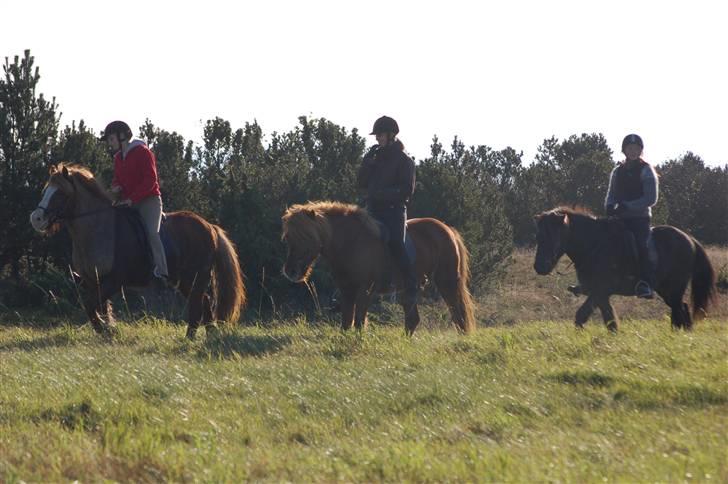 Hubertusjagt på rugård slot 2/11-2008 billede 26