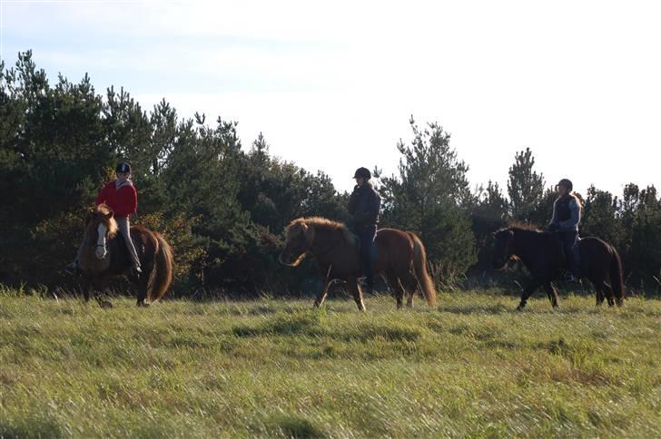 Hubertusjagt på rugård slot 2/11-2008 billede 27