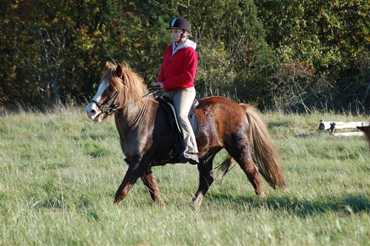 Hubertusjagt på rugård slot 2/11-2008 billede 28