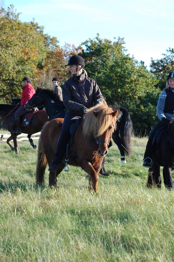 Hubertusjagt på rugård slot 2/11-2008 billede 29