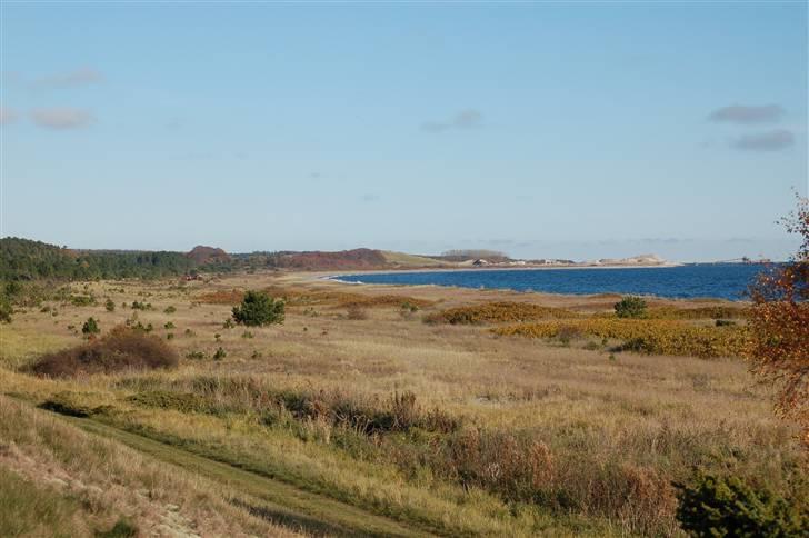 Hubertusjagt på rugård slot 2/11-2008 billede 30