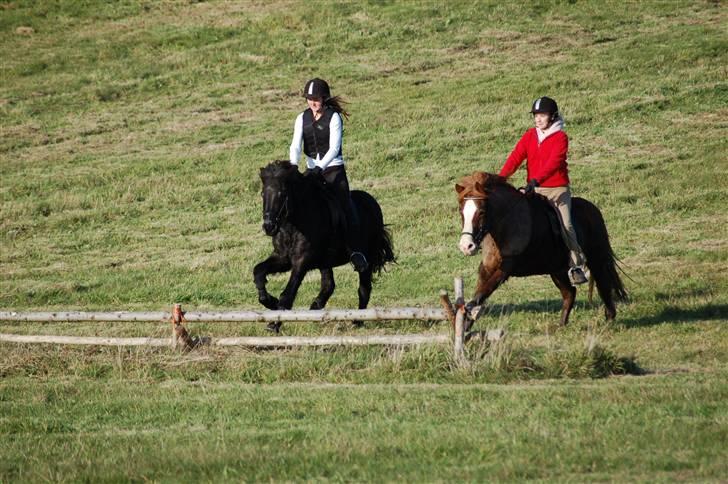 Hubertusjagt på rugård slot 2/11-2008 billede 32