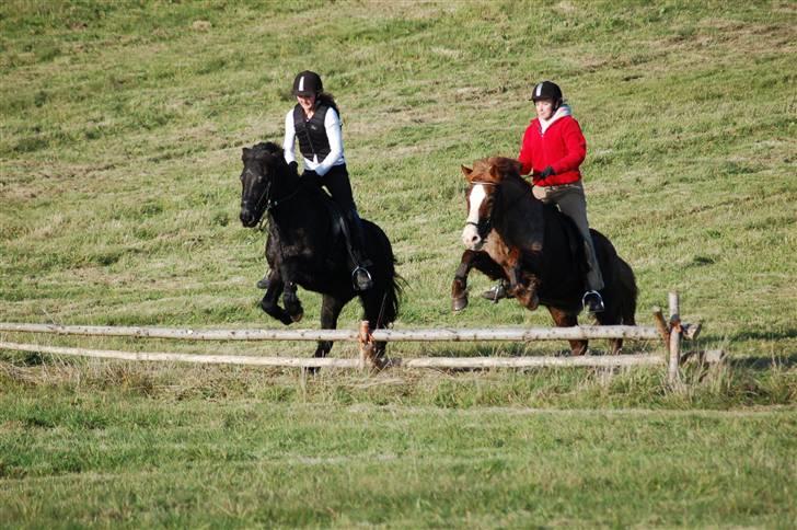 Hubertusjagt på rugård slot 2/11-2008 billede 33