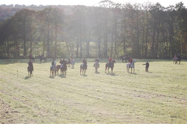 Hubertusjagt på rugård slot 2/11-2008 billede 35