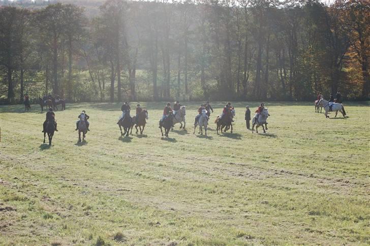 Hubertusjagt på rugård slot 2/11-2008 billede 36