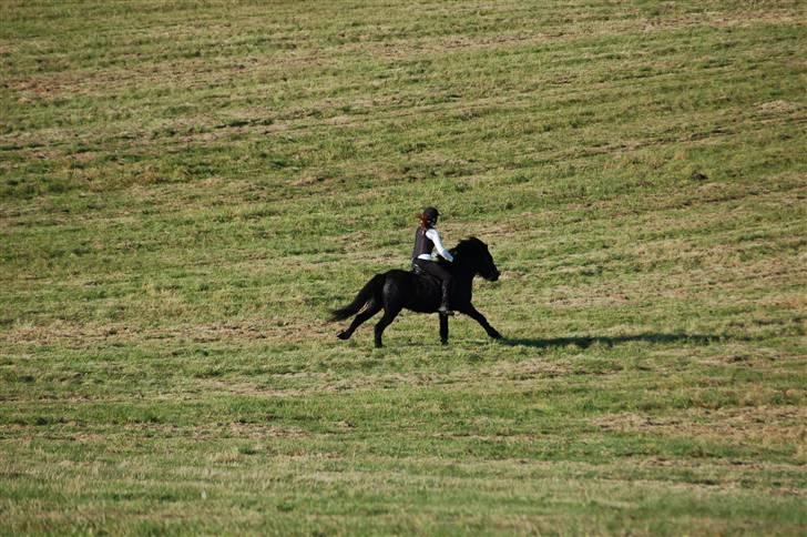 Hubertusjagt på rugård slot 2/11-2008 billede 40