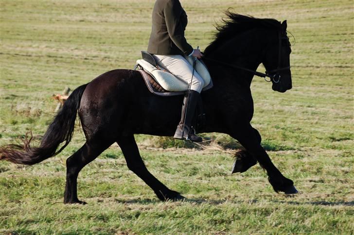 Hubertusjagt på rugård slot 2/11-2008 billede 41