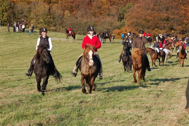 Hubertusjagt på rugård slot 2/11-2008 billede 42