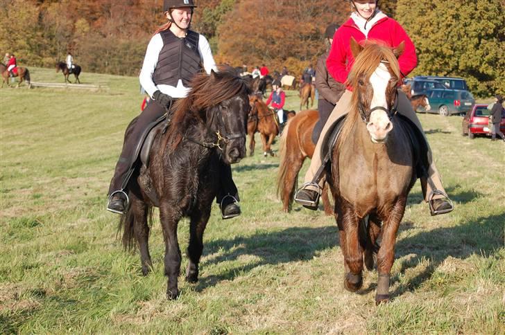 Hubertusjagt på rugård slot 2/11-2008 billede 43