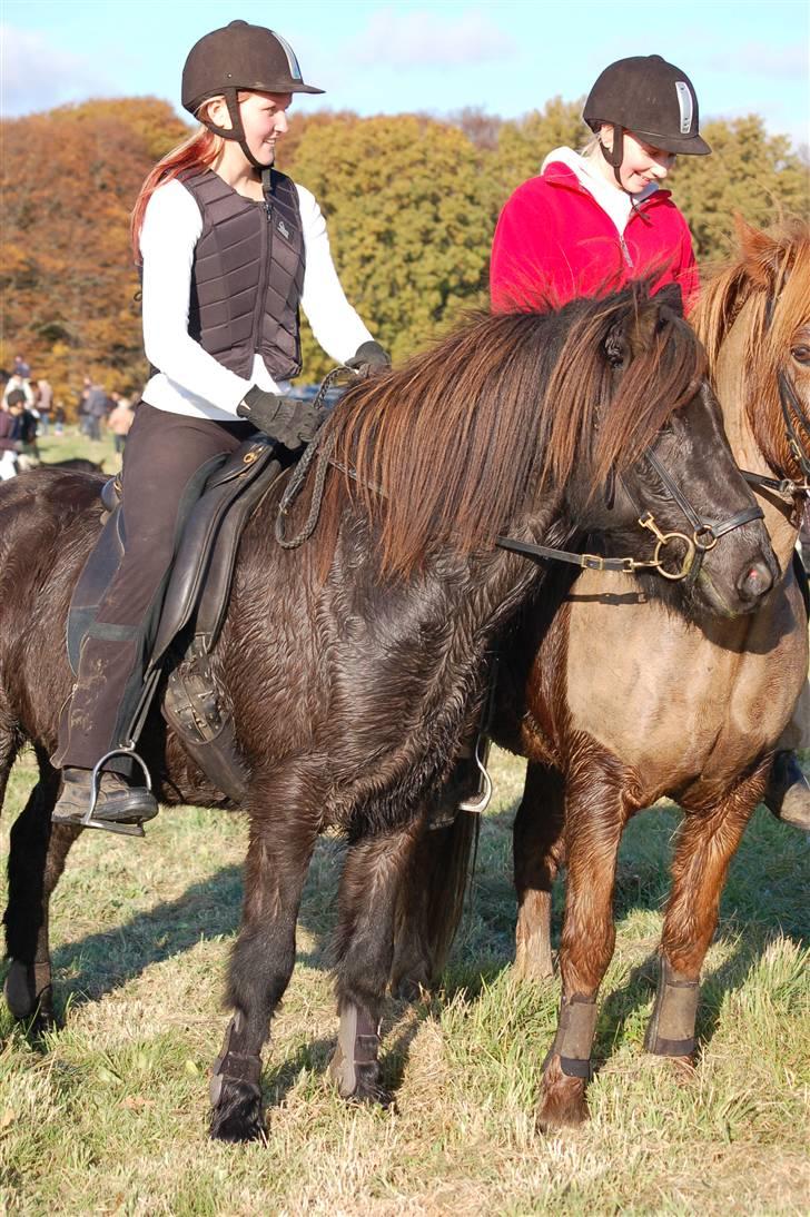 Hubertusjagt på rugård slot 2/11-2008 billede 44