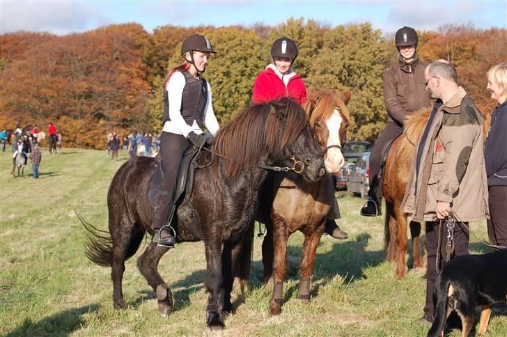 Hubertusjagt på rugård slot 2/11-2008 billede 45