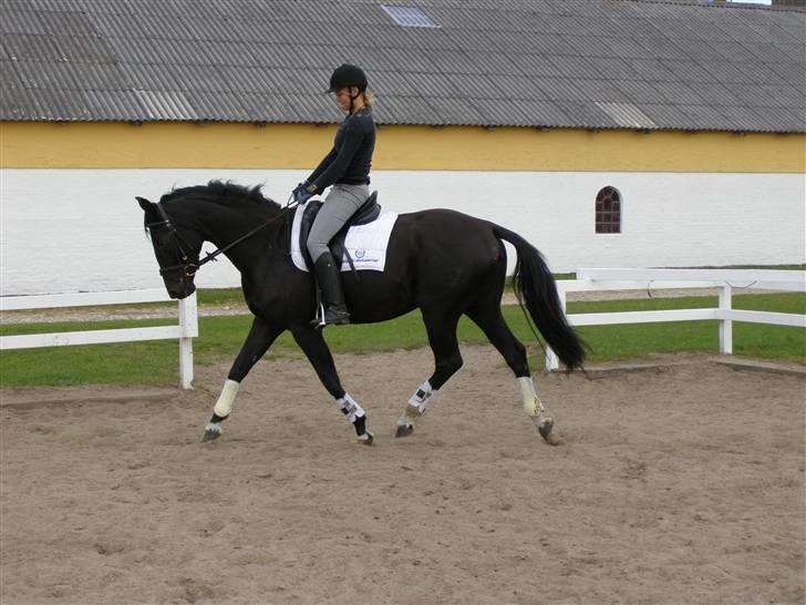 Billeder fra mit arbejde på stald sakstrup. billede 17