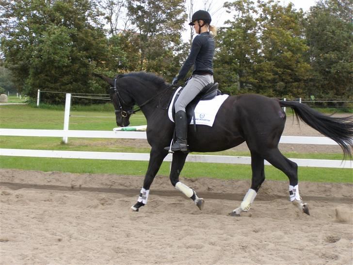 Billeder fra mit arbejde på stald sakstrup. billede 18