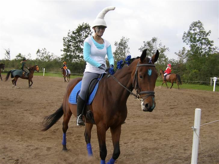 Billeder fra mit arbejde på stald sakstrup. billede 21