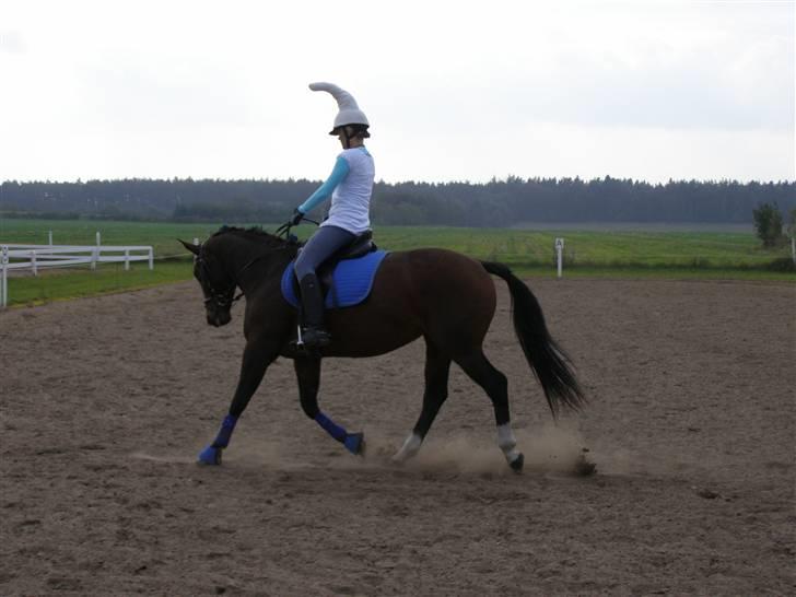 Billeder fra mit arbejde på stald sakstrup. - Her er jeg og Himmerigs Karo til udklædningsstævne på BJR. billede 22