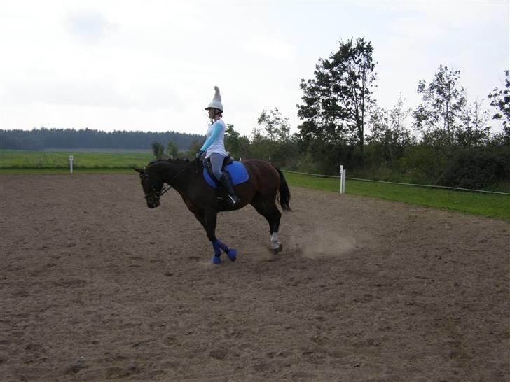 Billeder fra mit arbejde på stald sakstrup. billede 23
