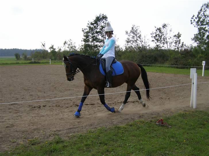 Billeder fra mit arbejde på stald sakstrup. billede 24