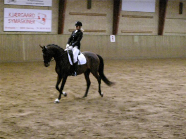 Billeder fra mit arbejde på stald sakstrup. - Her er jeg og Candiana Sakstrup til ridemærkeprøve på Hjørring rideskole. billede 25