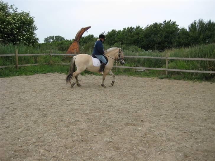 Ingegårds Doa - Ingegårds Doa billede 2