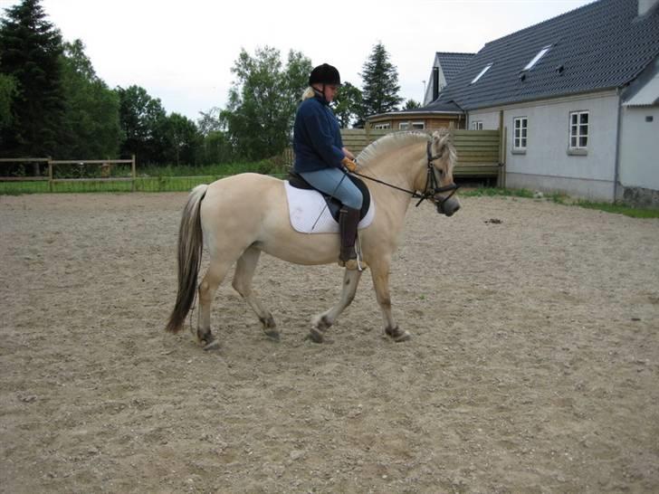 Ingegårds Doa - Ingegårds Doa og søde Julie som med kærlig og nænsom hånd red Doa til for mig. billede 3