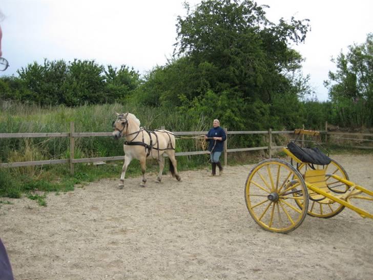Ingegårds Doa - Første gang i "køretøjet" billede 4