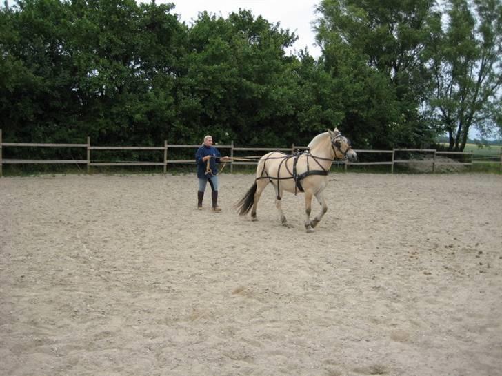 Ingegårds Doa - Ingegårds Doa billede 5