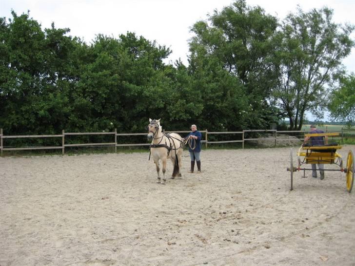 Ingegårds Doa - Ingegårds Doa billede 6