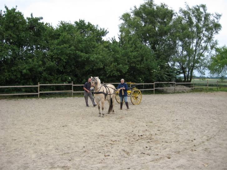 Ingegårds Doa - Ingegårds Doa billede 8