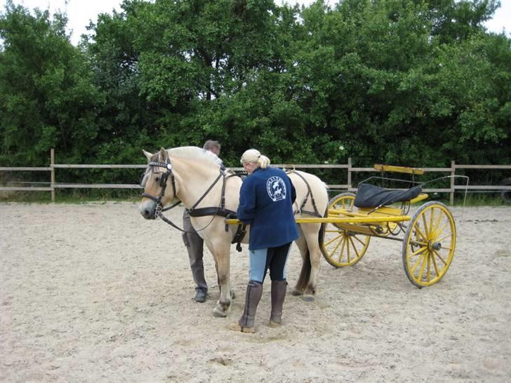 Ingegårds Doa - Jan og Julie spænder Doa for. billede 9