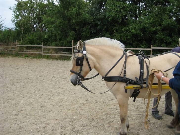 Ingegårds Doa - Men Doa tager det med knusende ro. billede 11